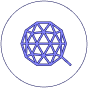 Qtum Blockchain Icon